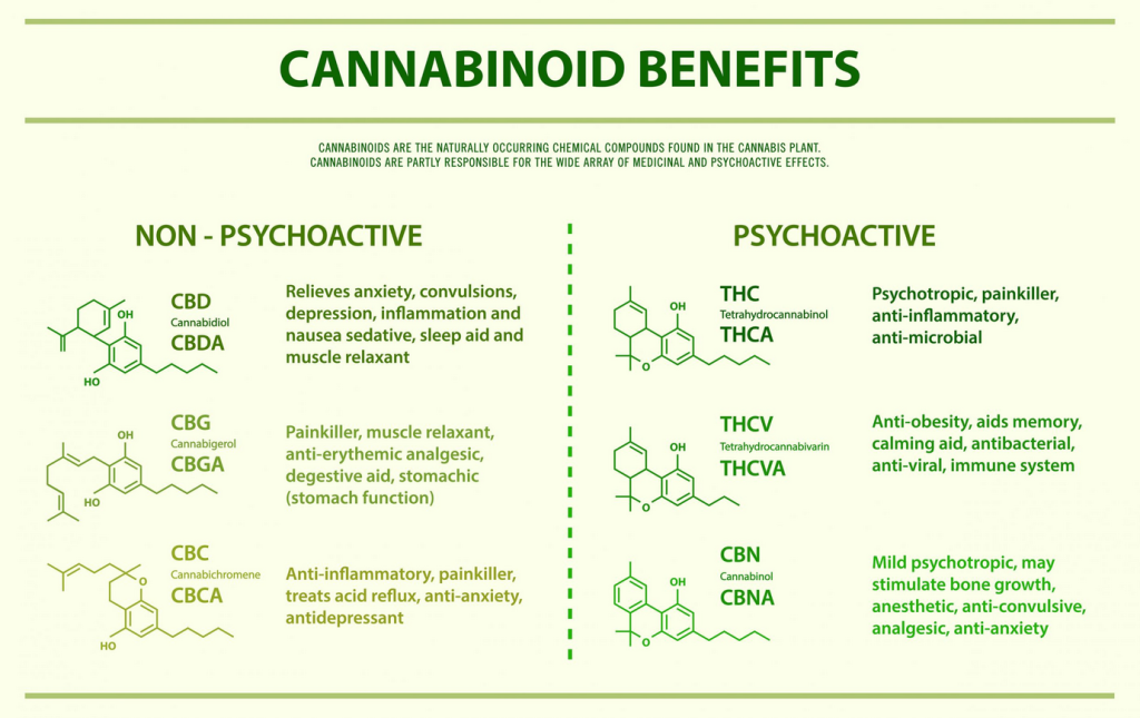 CBD-THC-CBG-CBN-differences-benefits