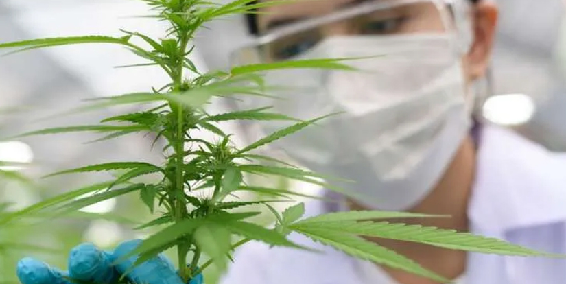 chronic health research with university of arizona med school
