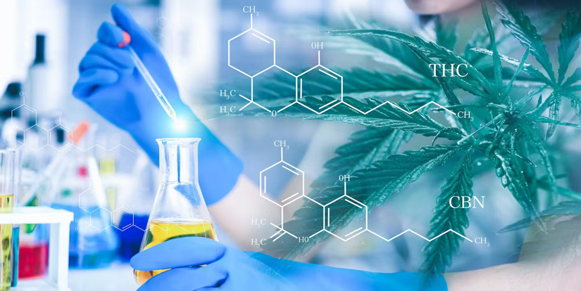 chronic health research with university of arizona med school