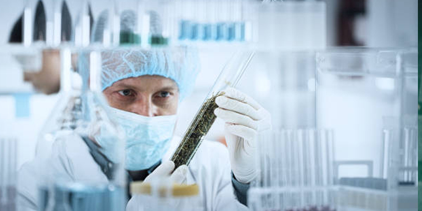 chronic health research with university of arizona med school